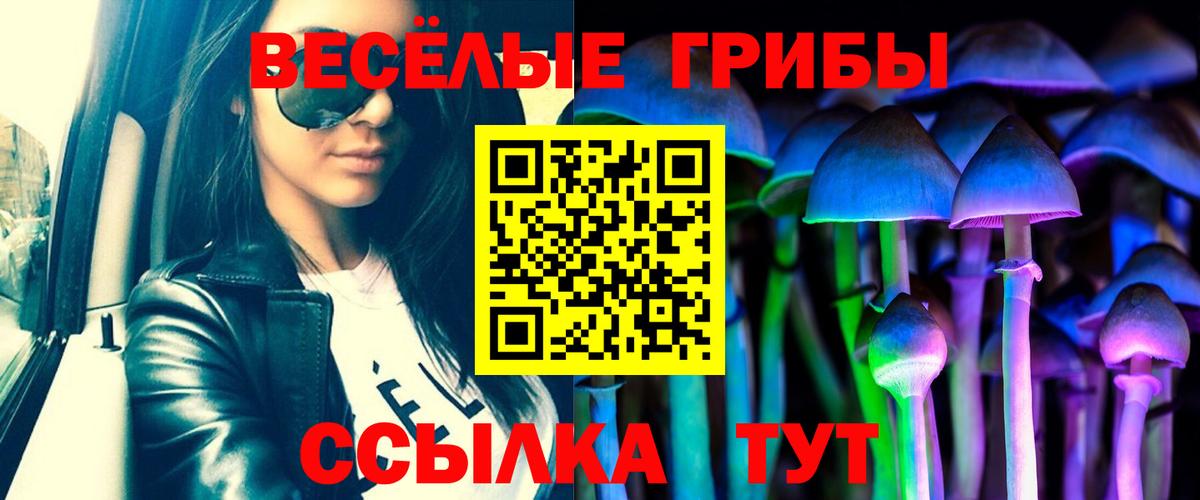 Псилоцибиновые грибы Psilocybe  Вход с VPN  Новозыбков  магазин    Галлюциногенные грибы прущие грибы 