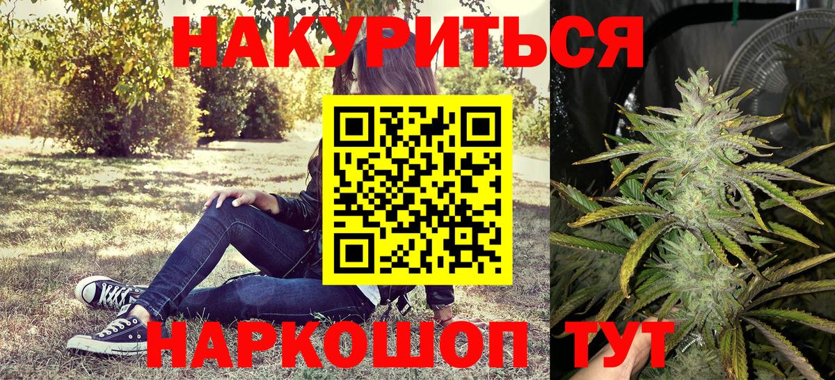 Канабис гибрид Новозыбков